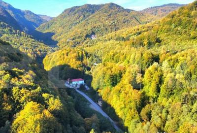 Casă cu 1 camere cu Teren 840 Mp în Central - 2