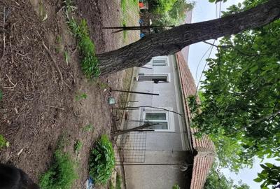 Casă cu 5 camere cu Teren 1351 Mp în Tânganu - 3