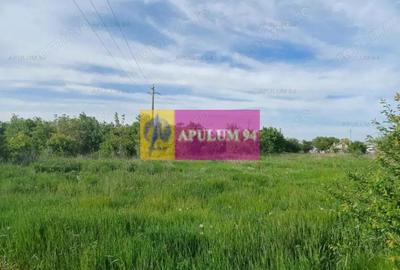 Teren de 1400 mp, în Joița - 2