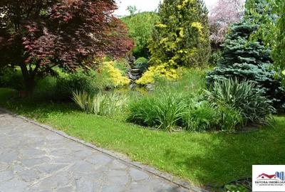 Casă cu 8 camere cu Teren 1000 Mp în Sângeorgiu de Mureș - 3