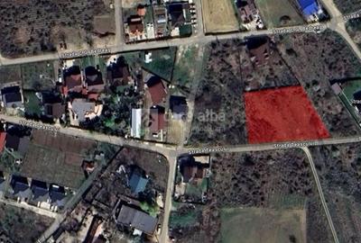 Bucium - Str. Teascului, teren intravilan, 3104mp, 86ml deschidere - 2