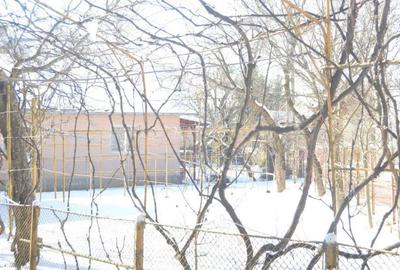 Casă cu 4 camere cu Teren 430 Mp în Podul Lung - 7