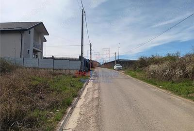 Teren de 729 mp, în Bârnova - 2