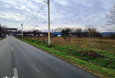 Teren de 2051 mp, în Alimpești - 8