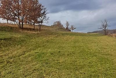 Teren de 3380 mp, în Șoimuș - 6