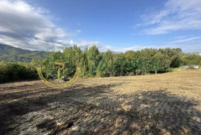 Teren Construcții intravilan de 960 mp, în Cisnădioara - 4