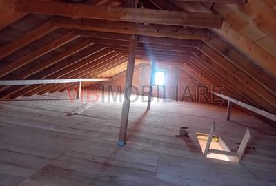 Teren intravilan de 16000 mp, în Belinț - 2