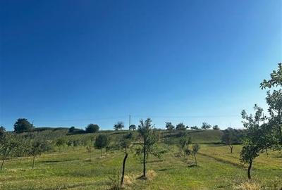 Reco Casa cu teren in Budureasa, langa Stana de Vale - 5