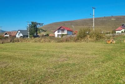 Teren de 3000 mp, în Central - 4