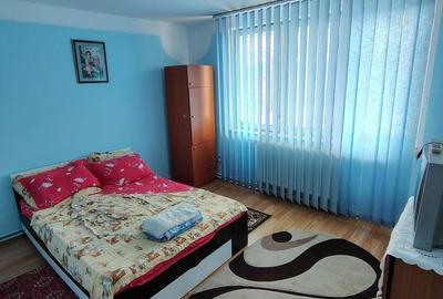 Apartament cu 2 camere decomandat în Valea Moșneagului - 4