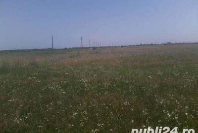 Teren de 12200 mp, în Mihăilești - 6