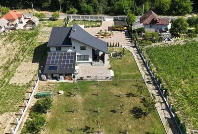 Casă cu 6 camere cu Teren 3000 Mp în Dej - 4