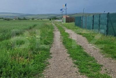 Teren pentru casa intravilan , 800 mp deschidere la drum Bod - 3