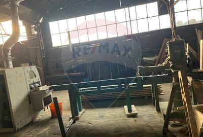 Spațiu industrial, de 7,756 mp, în Cerăt - 16