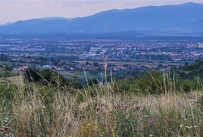 Teren agricol extravilan de 38000 mp, în Gușterița - 1
