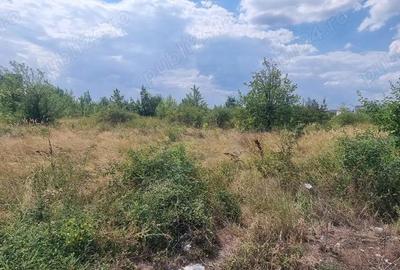 Vand 21000 mp teren int. cc, Pitesti, vis a vis de pavilionul Arpechim - 2