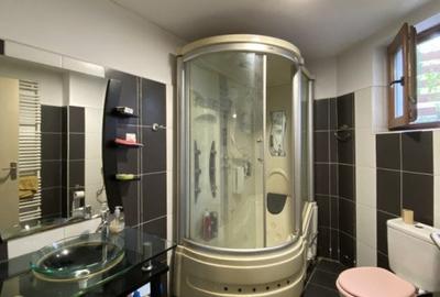 Casă individuală cu 9 camere cu Canalizare în Bogdăneștilor - 25