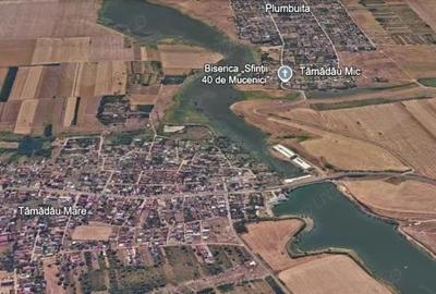 Teren intravilan 5000 mp Tamadau Mare deschidere 35 metri la DN3 - 7