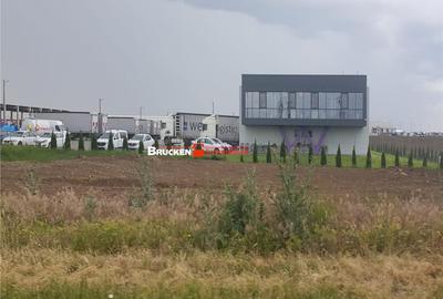 Teren de 43500 mp, în Sud - 10