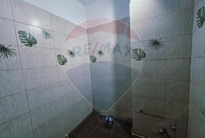 Apartament 3 camere - 5