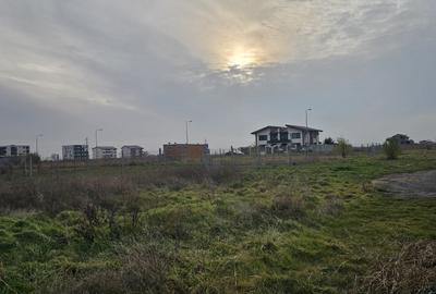 Teren veterani / 500 mp / deschidere 19,66 - 5