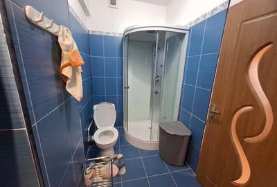 Penthouse 3 camere terasa de 58 mp si loc de parcare zona Doamna Stanca - 18