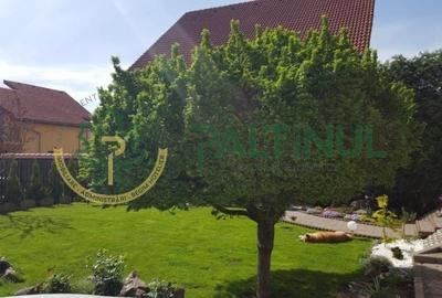 Vila Șelimbăr – 700 mp teren, jacuzzi, semineu, front stradal 30 ml - 28