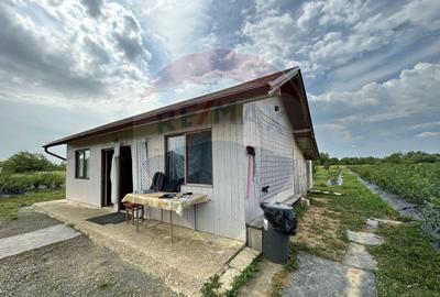 TEREN DE VANZARE - 29,656mp Bozanta Mica - 8