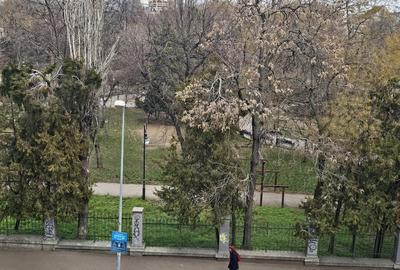 Cismigiu, Schitu Magureanu - 3