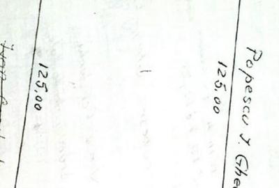 Teren Centura 10000 mp Concesiune Str Bujorului New 2025 - 3