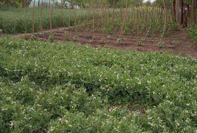 Vand casa comuna Baneasa, Giurgiu - 6