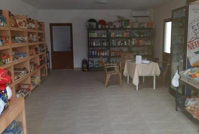 Spațiu comercial, de 54 mp, în Cerneți - 3