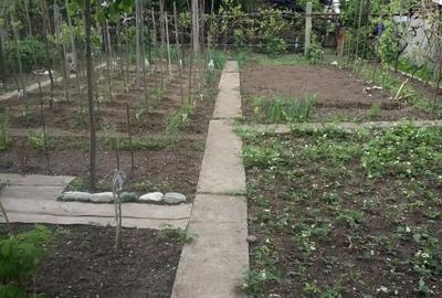 Casă cu 5 camere cu Teren 460 Mp în Calea Dumbrăvii - 3