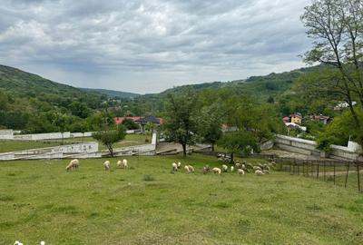 Casă cu 8 camere cu Teren 105000 Mp în Chiojdeanca - 5