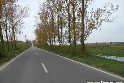 Teren intravilan, 5000mp, Ciolpani - accept schimb - 6