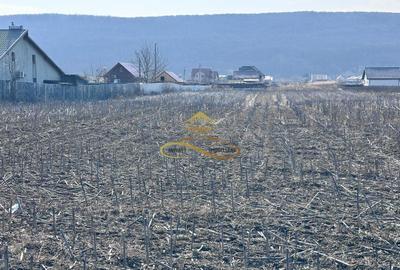 Teren Construcții intravilan de 3600 mp, în Hemeiuș - 5