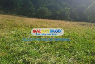 Teren Construcții intravilan de 3300 mp, în Predeluț - 3