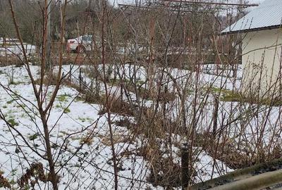 Casă în Valea Bradului - 1