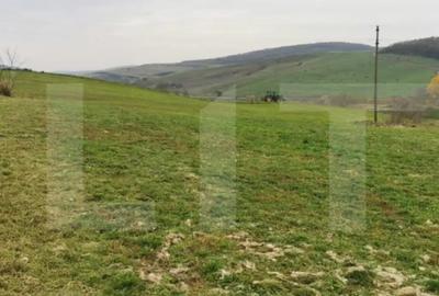 Casă cu 1 camere cu Teren 3000 Mp în Someșeni - 2