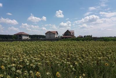 Teren agricol intravilan de 756 mp, în Frumușani - 2