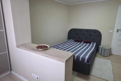 Apartament cu 4 camere decomandat, mobilat în Aradului - 10
