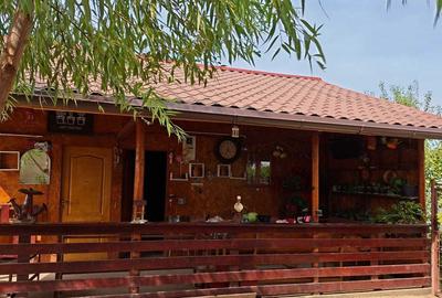 Casă cu 3 camere cu Teren 1000 Mp în Central - 4