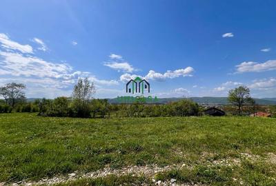 Teren Goranu 1769 mp/Intravilan - 3