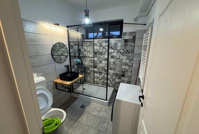 Apartament cu 2 camere decomandat, mobilat în Drumul Taberei - 10