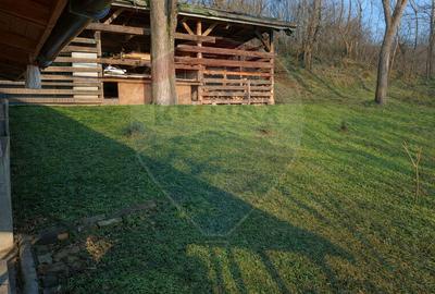 Proprietate specială, de 175 mp, în Inoc - 17