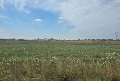Mosnita Veche - 11 parcele - 10800 mp- CF individuale - 7