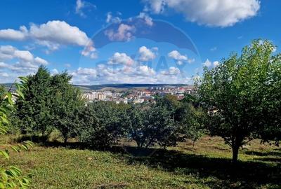 Teren 1,000mp Piatra-Neamt / Strada Pietrelor - 3