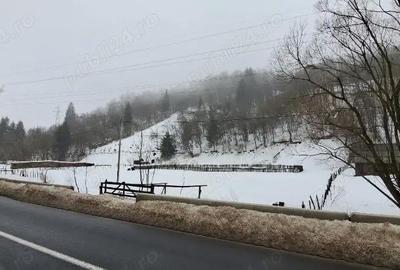 Casă cu Teren 350 Mp în Cerbu - 2