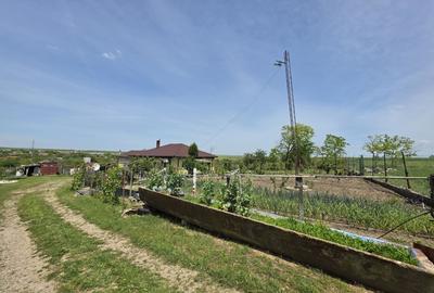 Casă individuală cu 3 camere cu Teren 3604 Mp în Tortoman - 1