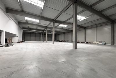 Spațiu industrial, de 7,014 mp, în Biharia - 12